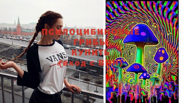 марихуана Медвежьегорск