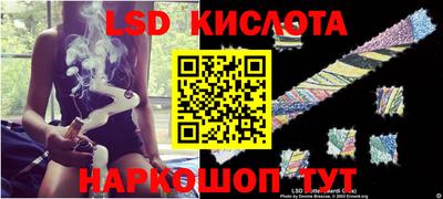 гидра Волгодонск