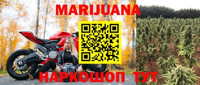 гидра Волгодонск