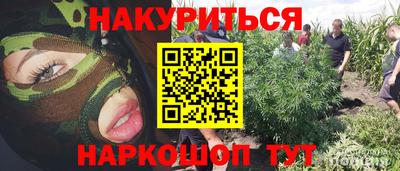гидра Волгодонск