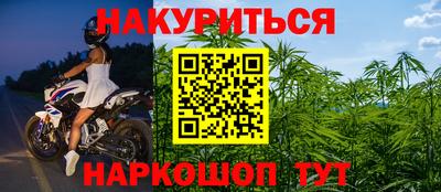 гидра Волгодонск