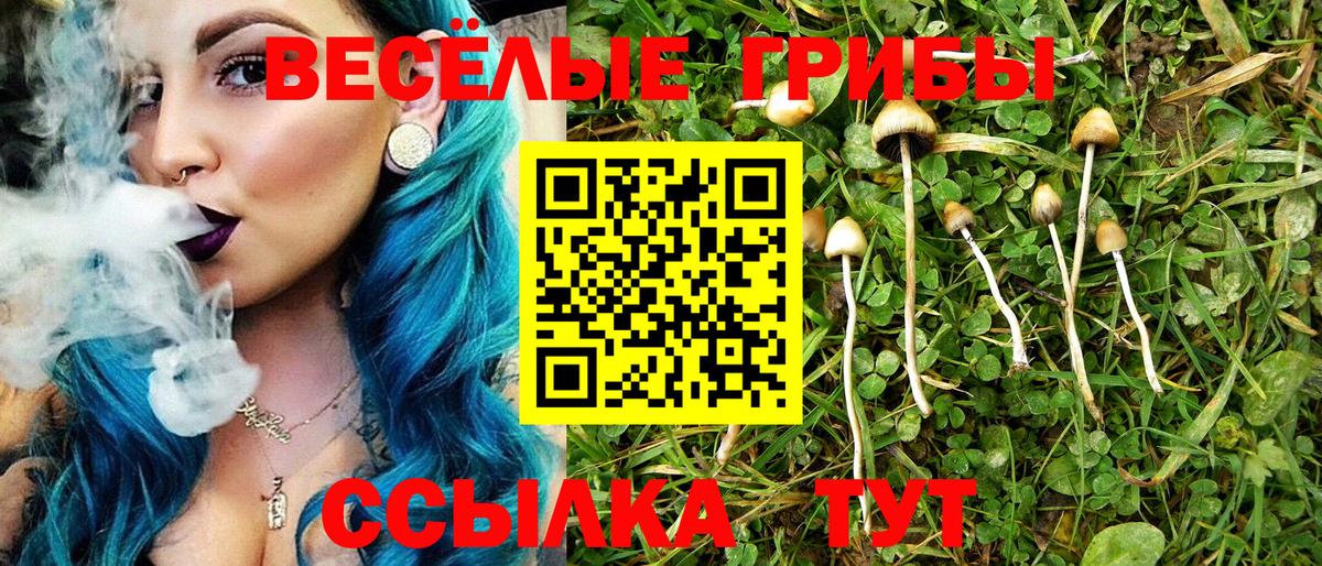 Камышлов  Галлюциногенные грибы Magic Shrooms  Вход с VPN 